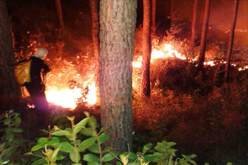 INCENDIOS DE MASA VEGETAL AFECTA FLORA Y FAUNA EN VERAGUAS - Benemérito Cuerpo de Bomberos de la República de Panamá INCENDIOS DE MASA VEGETAL AFECTA FLORA Y FAUNA EN VERAGUAS - Benemérito Cuerpo de Bomberos de la República de Panamá