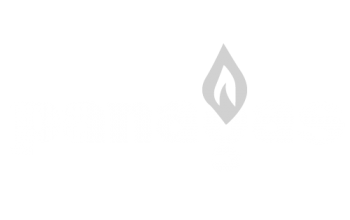 panagas-logo
