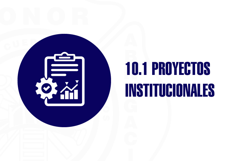 Proyectos Institucionales - Portada